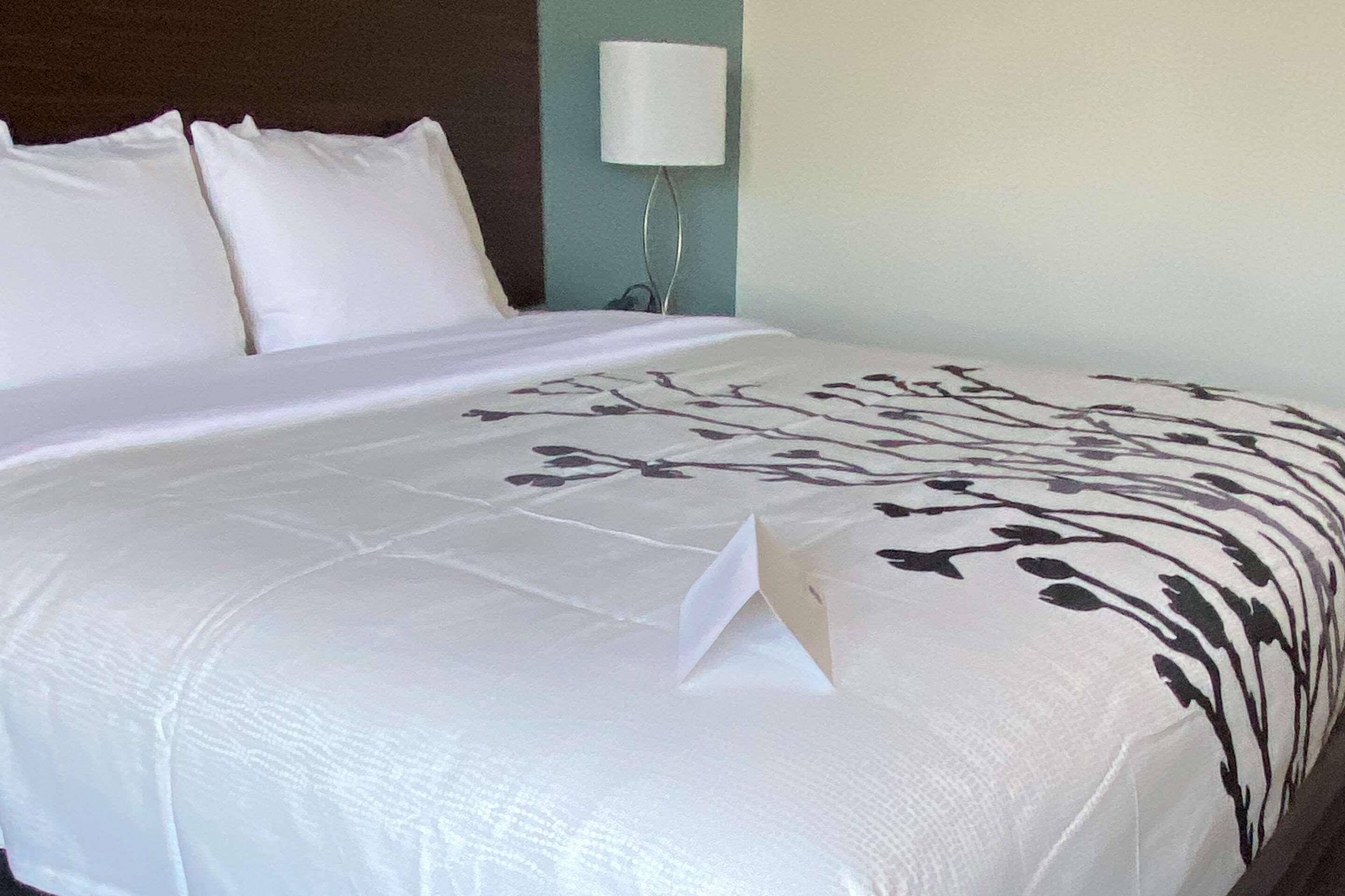 Wingate By Wyndham Kings Bay Naval Base I-95 Hotel Кингсленд Екстериор снимка